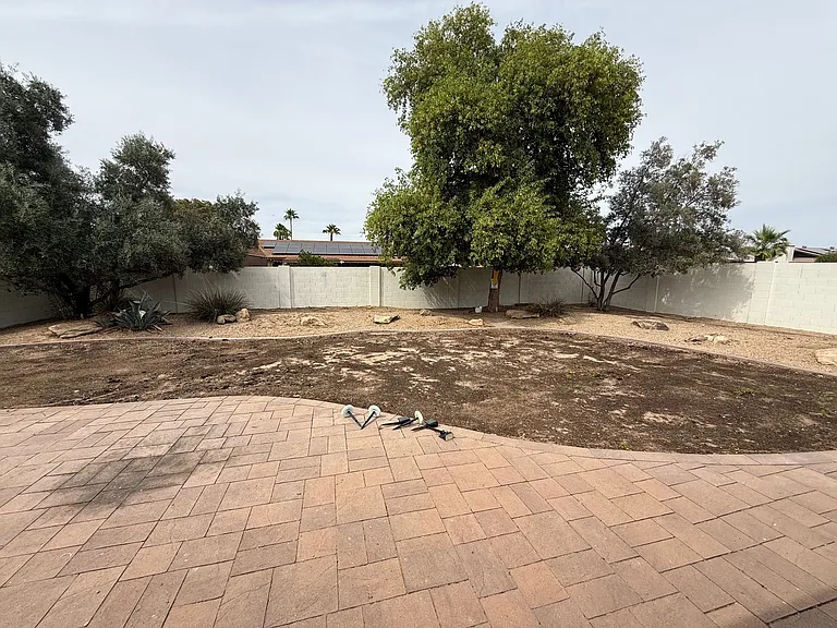 Backyard