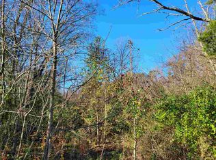 McSween Springs Rd, Newport, TN 37821