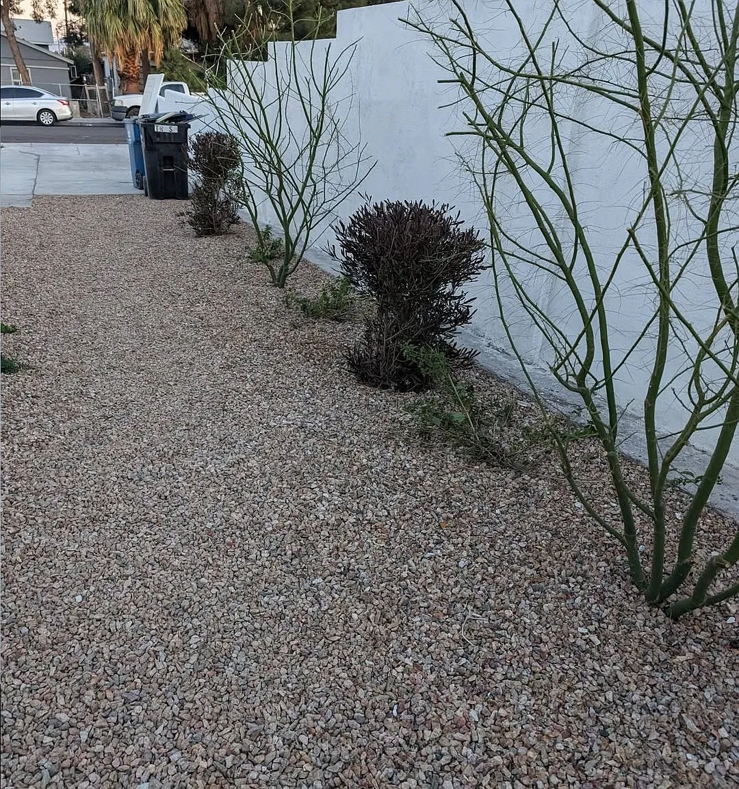 305 N 15th St — Photo 2