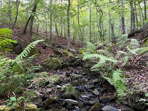 4th image of 920 White Pike