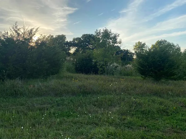 10 Basswood Ln, Galena, IL 61036