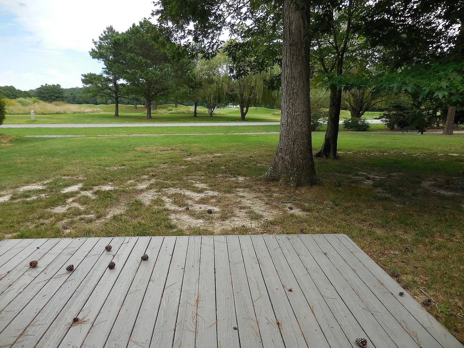 10903 Player Ln — Photo 4