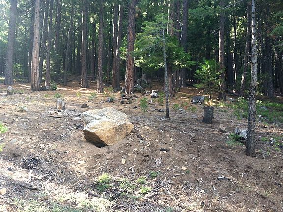 Boulders and Trees