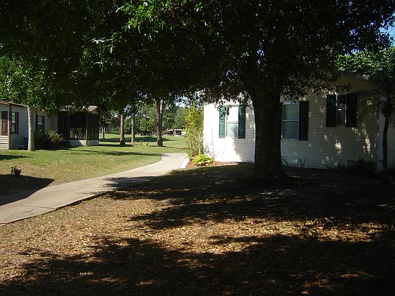 Side View