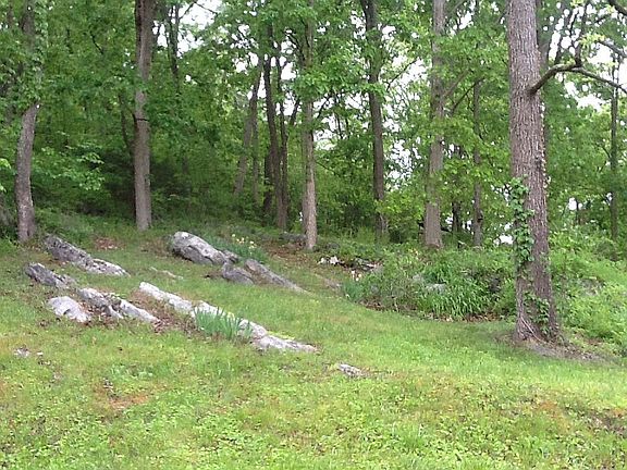 back yard and beyond