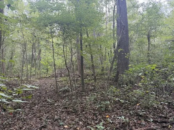 Twin Bridges Rd, Green Bay, VA 23942