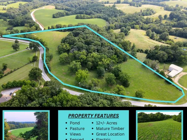 Lot 1 State Highway 176 E, Spokane, MO 65754