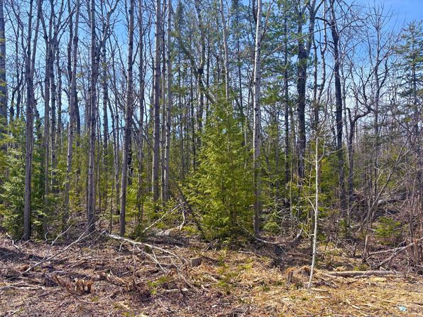 LOT 312 Pineview Dr, Presque Isle, MI 49777