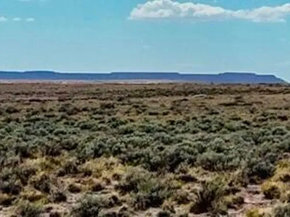 TBD County Road N7012 40 Acres -- #-, Sanders, AZ 86512