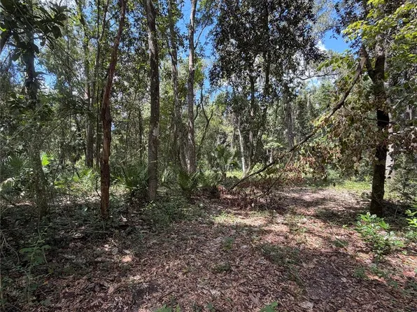 SW 25TH AVENUE LOT 51, CHIEFLAND, FL 32626