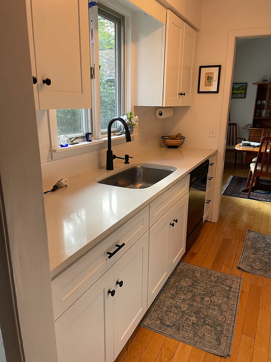 newly renovated kitchen - 142 Burleigh Dr #1