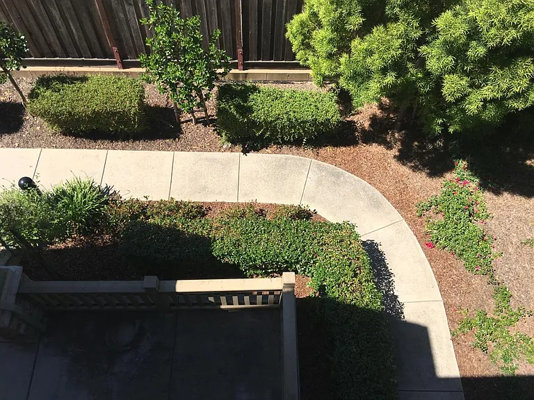 Balcony Bird's Eye