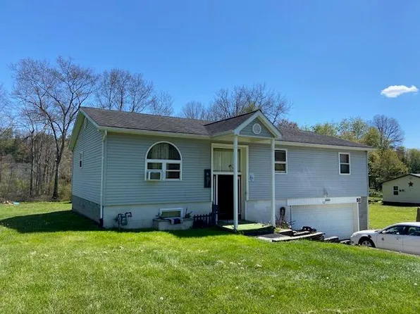 92 Meadows Rd, Craigsville, WV 26205