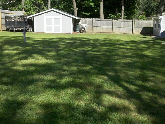 Back Yard and Shed