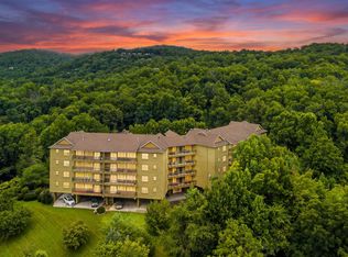 338 Pinnacle View Way Suite 153, Gatlinburg, TN 37738