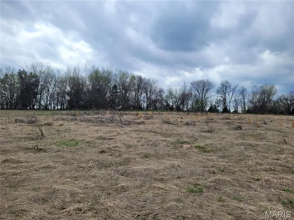 5 Monroe Trl #675, Perry, MO 63462