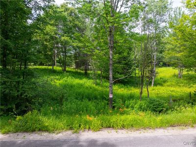 Hadcock Rd, Stratford, NY, 13470