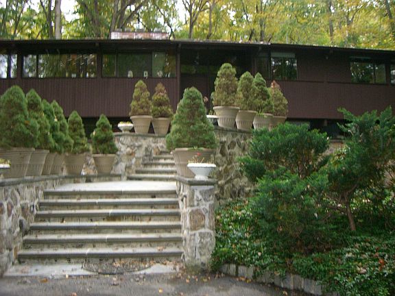 Travertine/stone steps