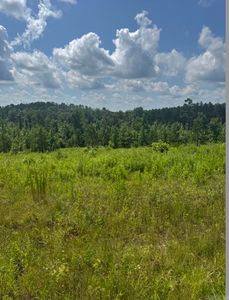 3896 Totten Rd, Benton, AR, 72019