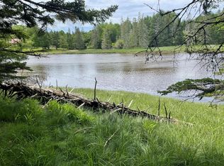 3 Robbins Point Rd, Gouldsboro, ME 04607