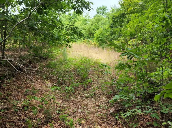 0000 County Road 580, Winona, MO 65588