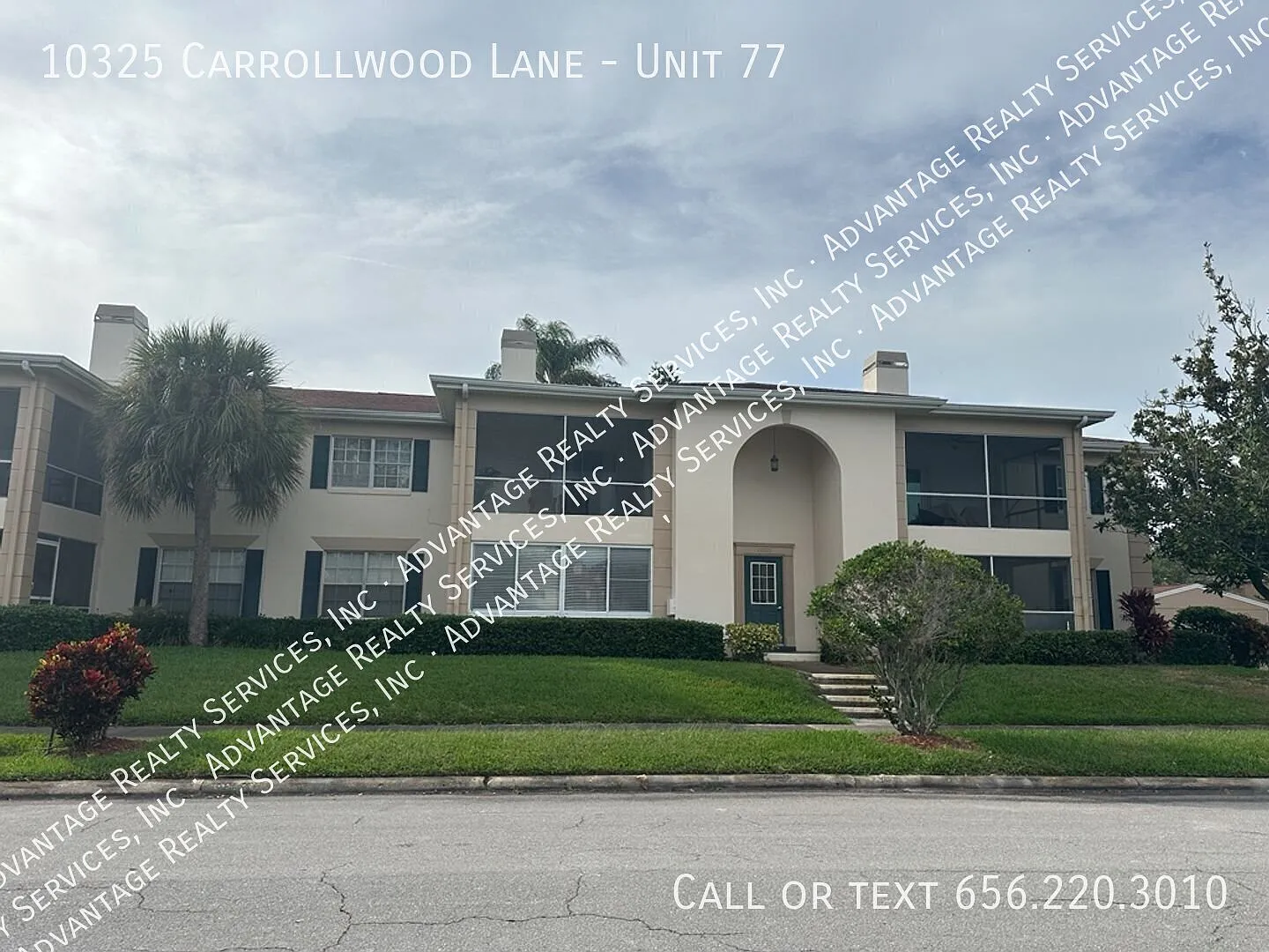 The Grand At Olde Carrollwood — Photo 1