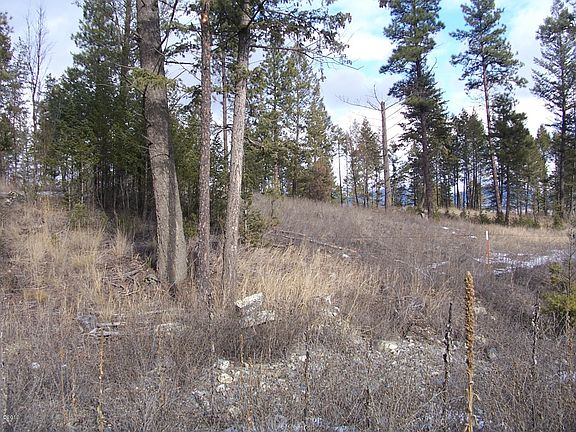 5th image of Nhn Stone Fox Ln