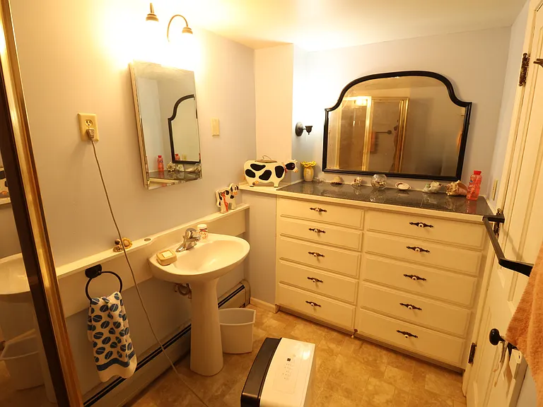 Downstairs bathroom