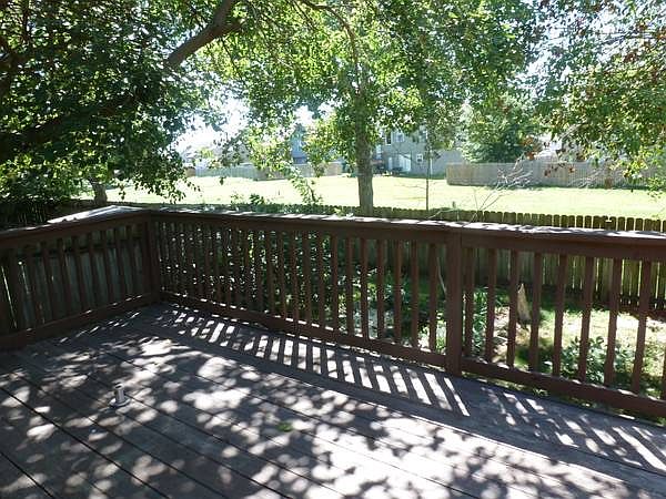back yard