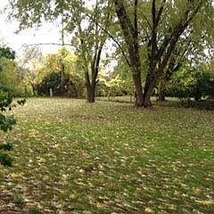 5th image of 7030 Summerdale Dr