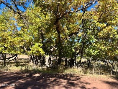 5510 Blue Jay Dr, Pinedale, AZ, 85934