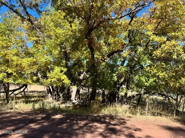 5510 Blue Jay Dr, Pinedale, AZ 85934