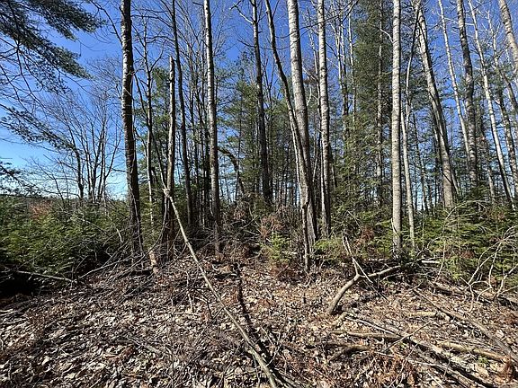4th image of 1871 Helmer Lake Rd