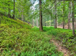 0 River Way, Blue Ridge, GA 30513