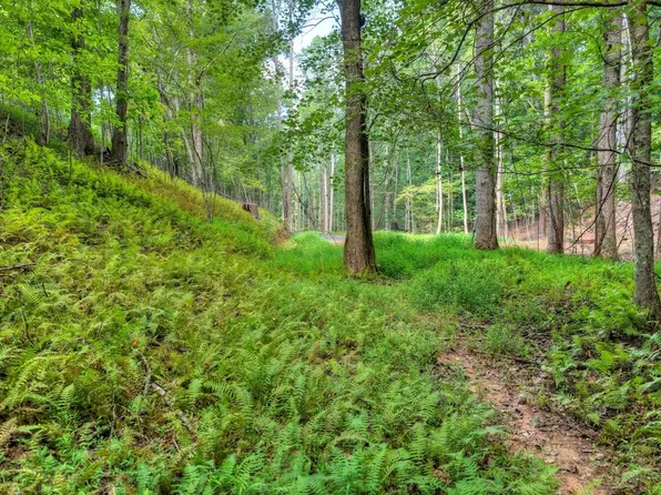 0 River Way, Blue Ridge, GA 30513