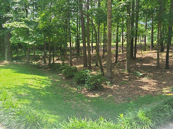 4th image of 127 Welcome Wood Dr