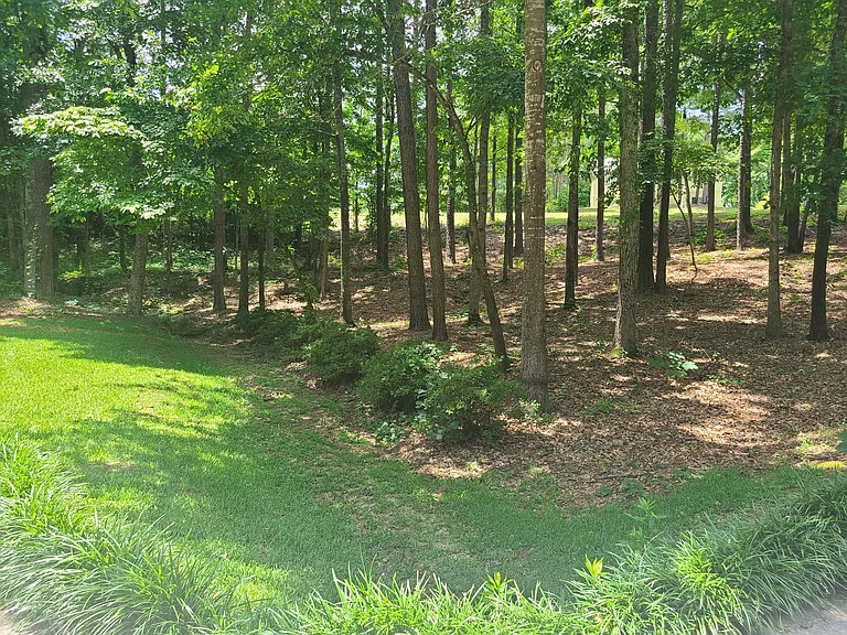 127 Welcome Wood Dr — Photo 4
