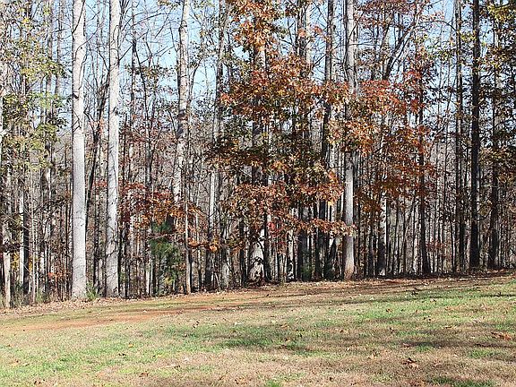 5th image of 1090 Eyrie View Dr