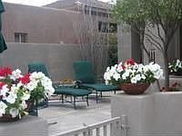 1st image of 7122 E Hibiscus Way