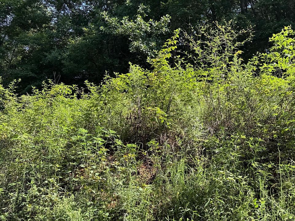 1st image of 115 Hughes Hollow Rd