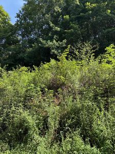 115 Hughes Hollow Rd, Ten Mile, TN, 37880