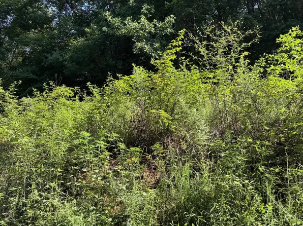 115 Hughes Hollow Rd, Ten Mile, TN 37880