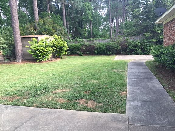Backyard with storage shed