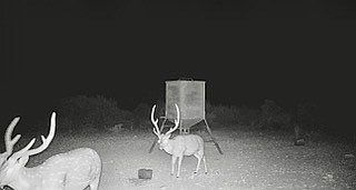 5th image of 0 State Highway 189 Frst #934-2313