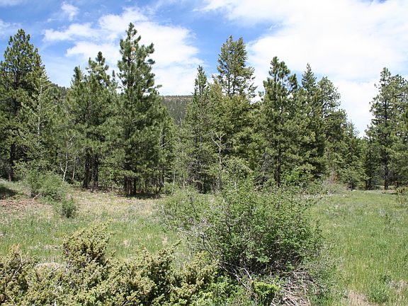 2nd image of 2 Elk Creek Meadows Run