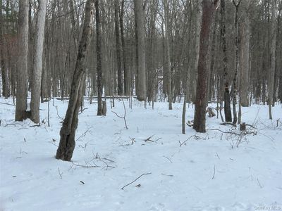Purple Sage Drive, Barryville, NY, 12719