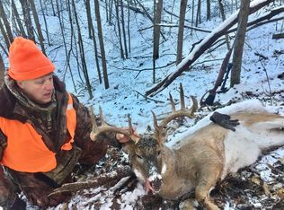 15559 Kanton Rd, Muscoda, WI 53573