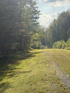 80 Torpedo Ct, Cedar Grove, TN, 38321