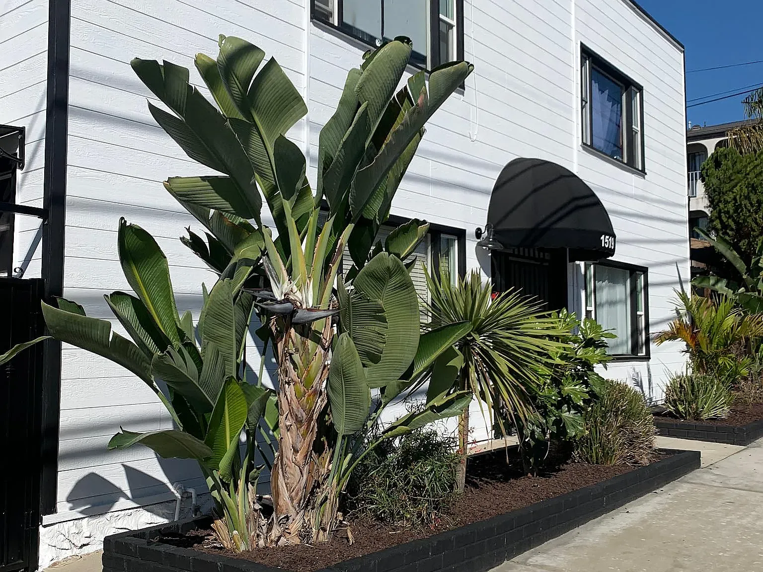 Studio, 350 sqft, $1,550 — Photo 3
