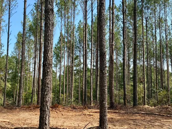1 Cherokee Rd, Comer, GA 30629
